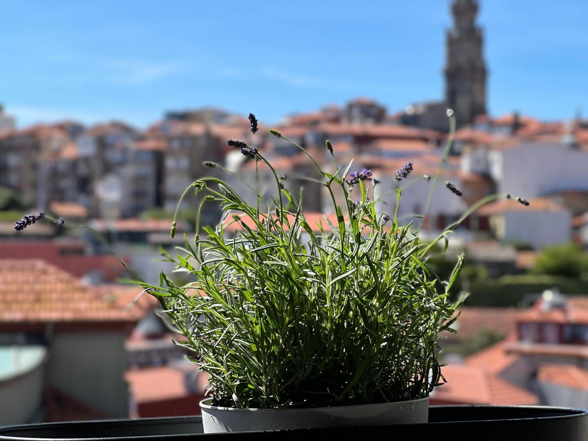 Urban Apartment Casa Da Portela Porto Buitenkant foto